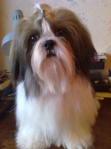 Александра Якушева | Тольятти