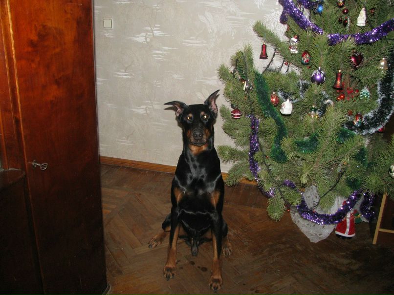 Лариса Шапкина | Berlin