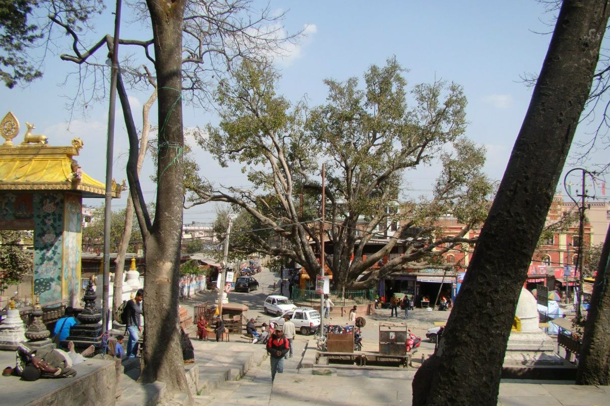 Vita Balinova | Санкт-Петербург