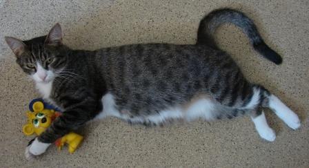 Светлана Добрынина | Иркутск