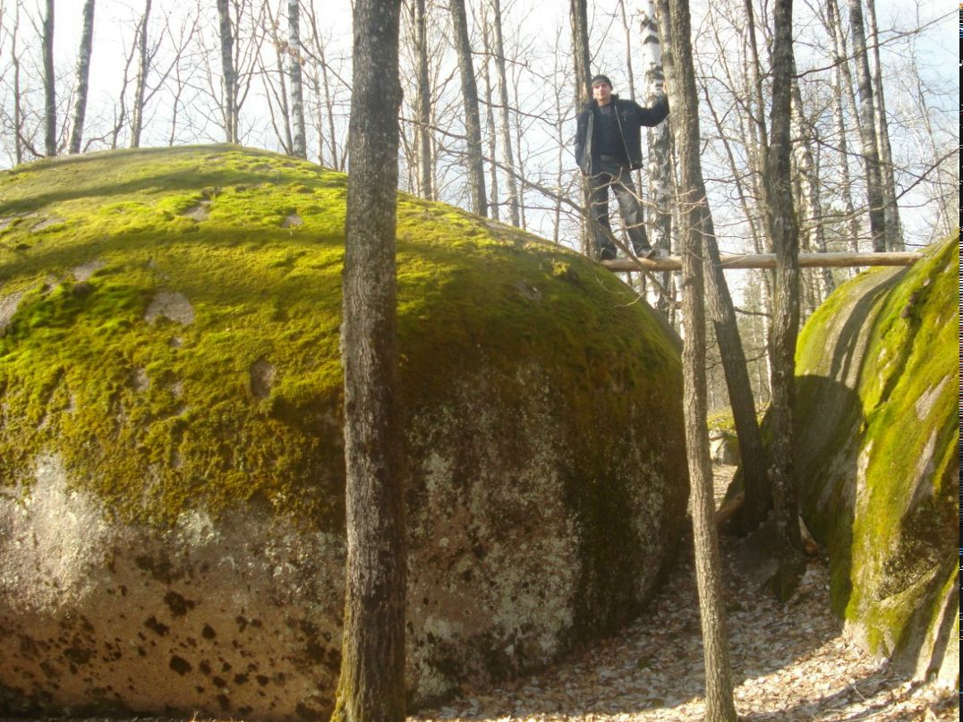 Сергій Гречко Іванович | Олевск