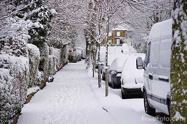 №11, Александр Апанович №11, Александр Апанович