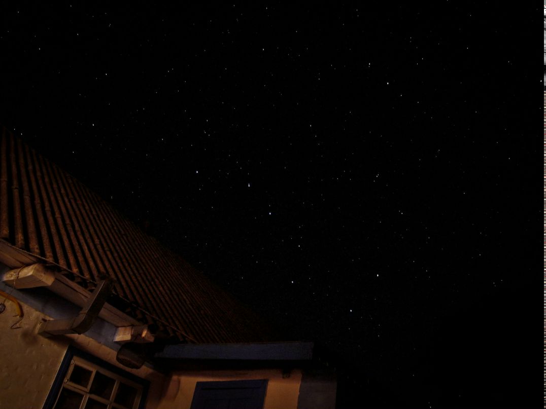 Николай Шевченко | 