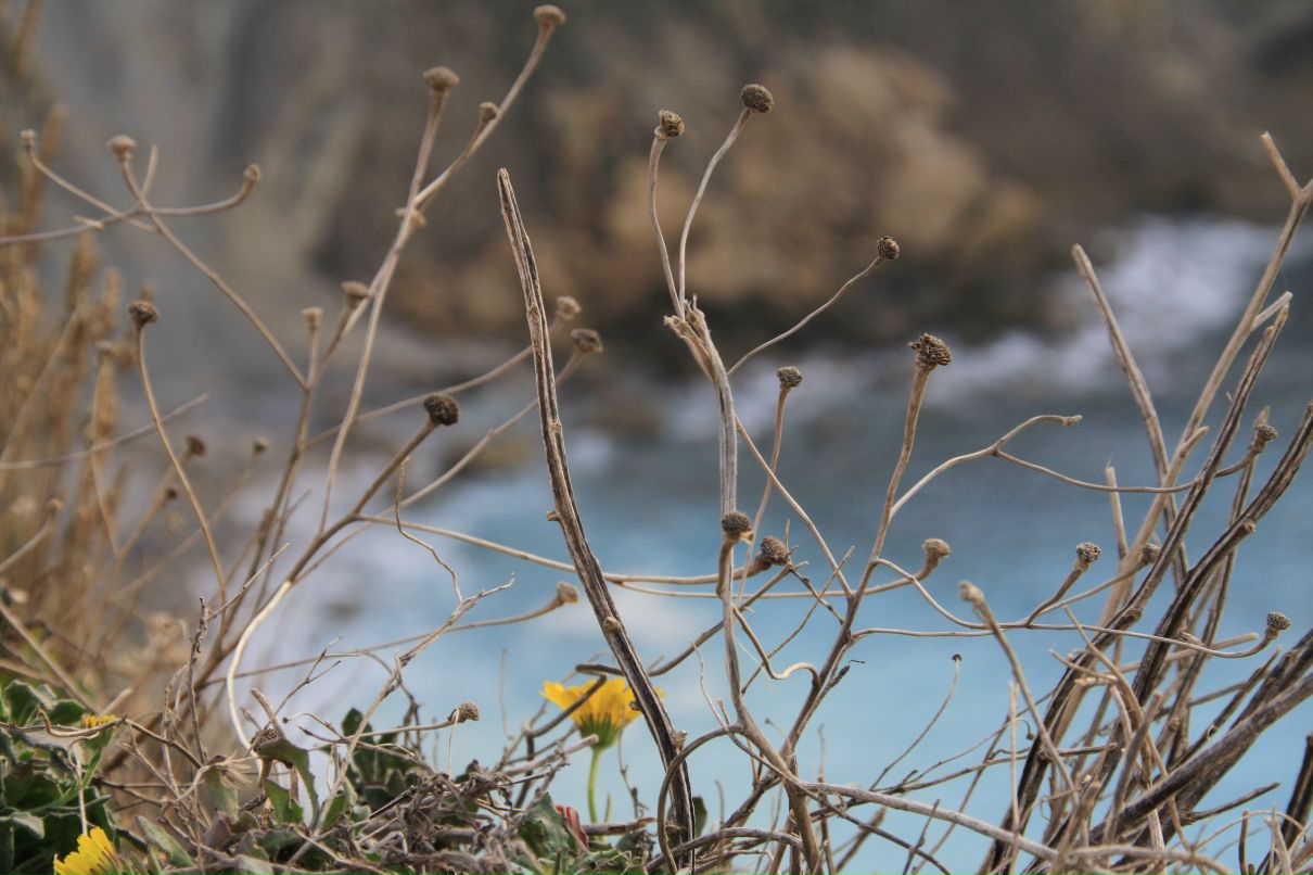 Юлия Гольник | Москва