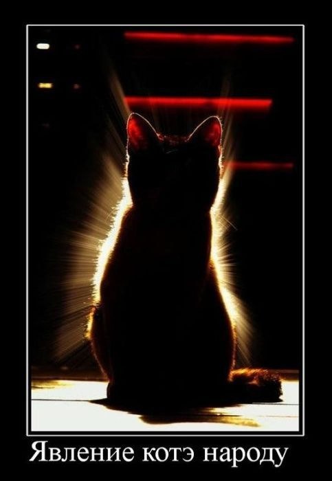 Мария Бавина | Москва