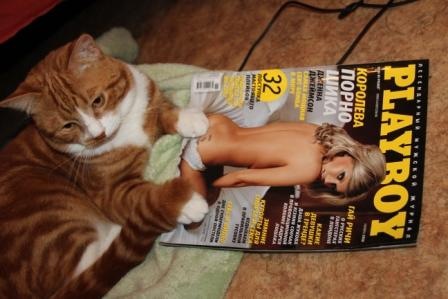 №161, Сергей Омшенецкий, 37 лет, Москва №161, Сергей Омшенецкий, 37 лет, Москва