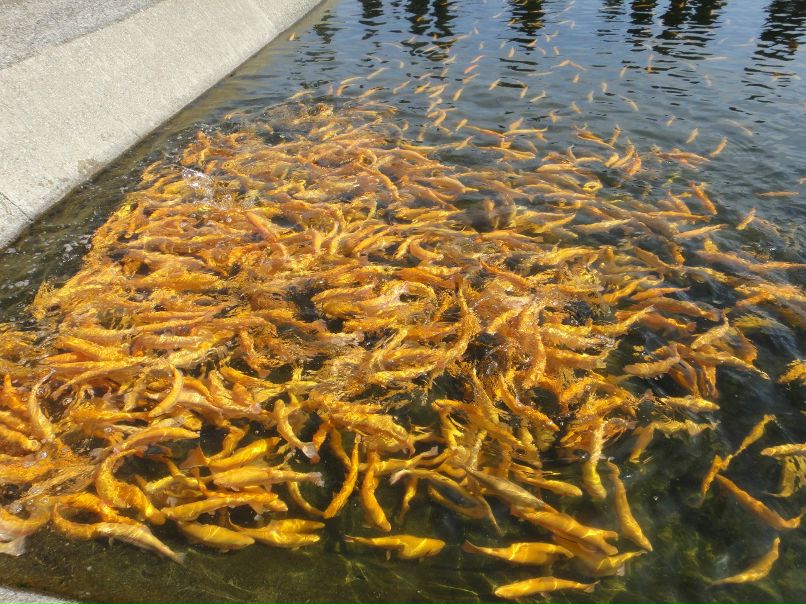 Юлия Попова | Пермь