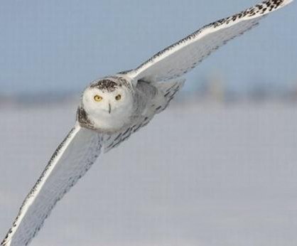 Григорий Сычев | Астрахань