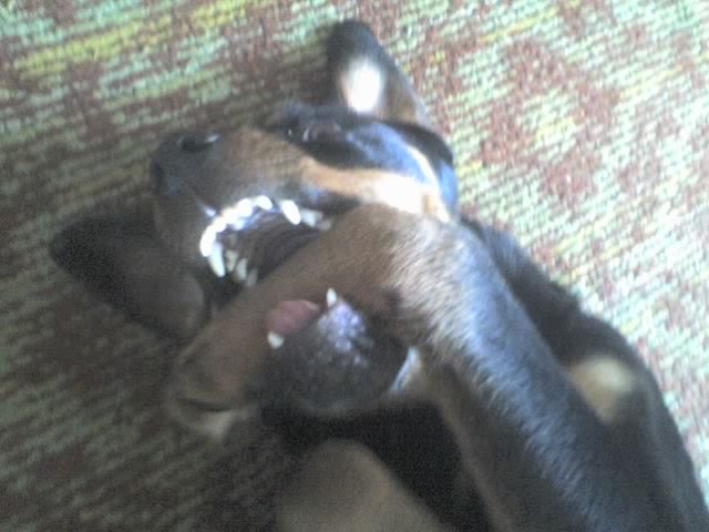 Александр Константинов | Йошкар-Ола