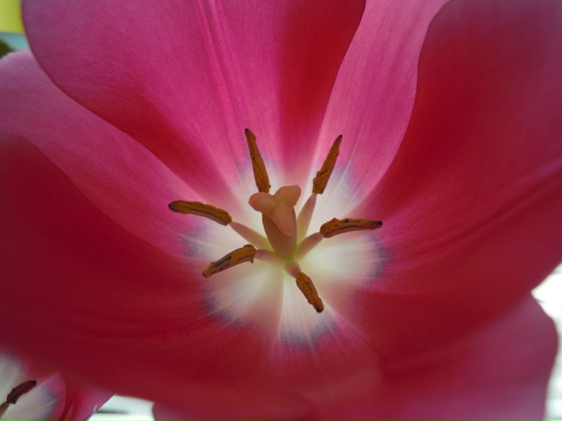 Елена Неймеш ★ kreditka ★ | Киев