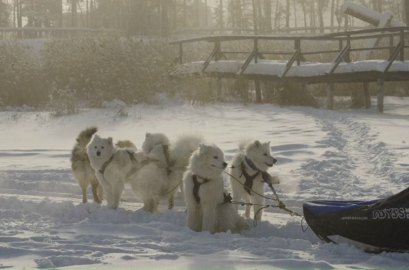 Светлана Валентиновна [meLeThriL] | Якутск