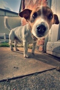 Лера Шевцова -‘๑’-Солнце-‘๑’- | Санкт-Петербург