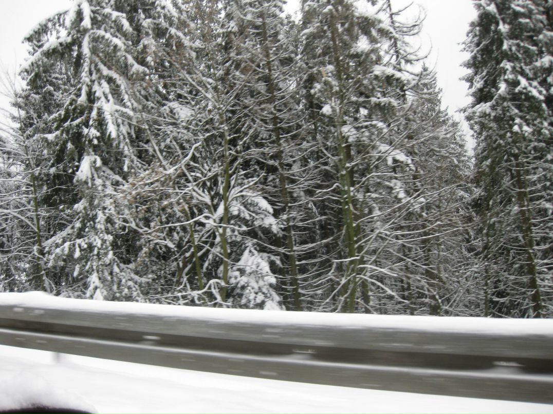 Дмитрий Котин | Киев