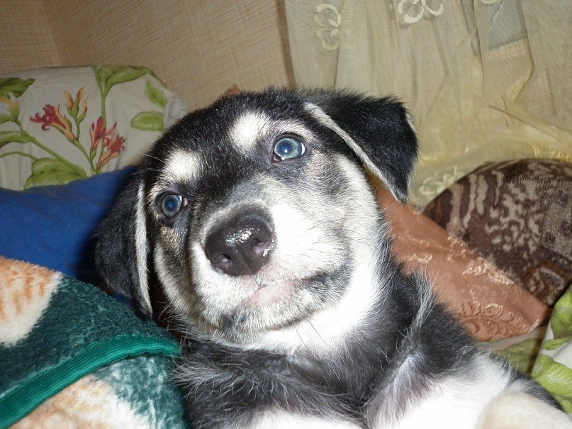 Виктория Левина | Санкт-Петербург