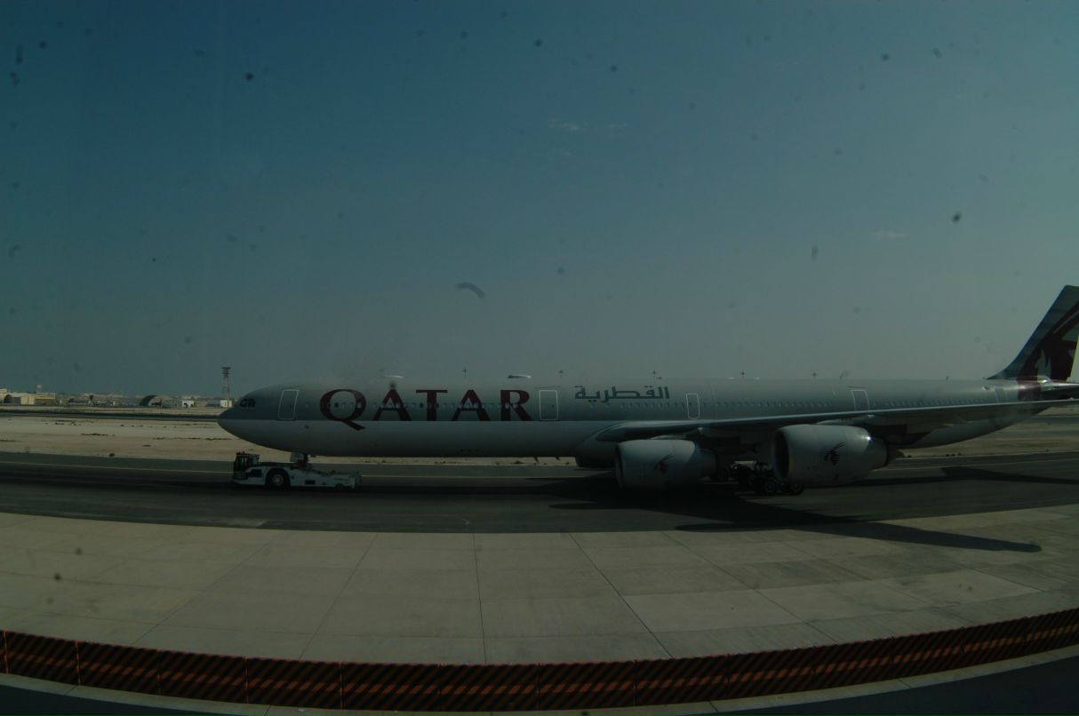 Мостр Моисеев | Санкт-Петербург