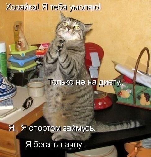 №4, Женя Щукина, Санкт-Петербург, Россия №4, Женя Щукина, Санкт-Петербург, Россия