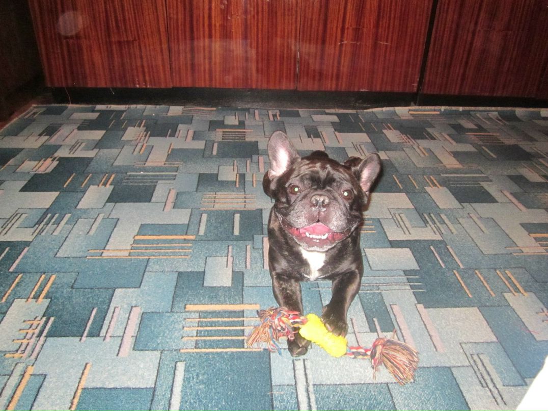 Наталья Телепнева | Нижний Новгород