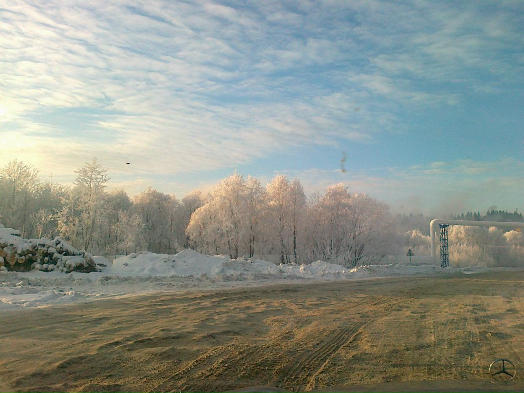 Артем Богданов | Пермь