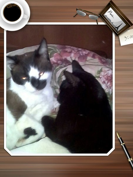 Таня Третьякова, Россия, Иваново