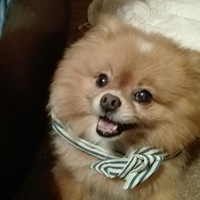 Андрей Кочнев