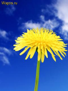 Ирина Кононова (Новикова), Россия, Стерлитамак