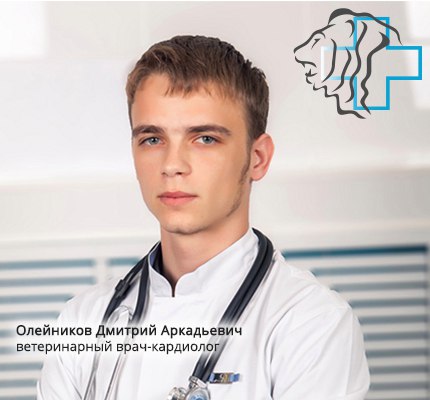 Олейников Д.А. Олейников Д.А.