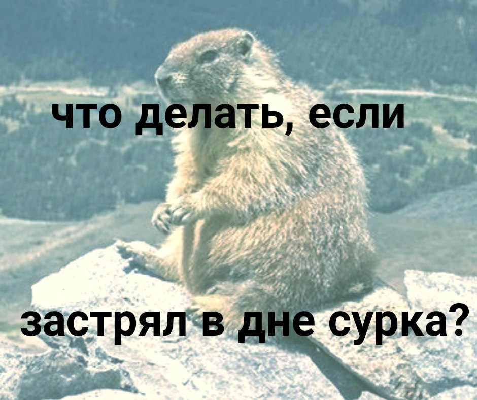 День сурка или как изменить свою жизнь, найти свое дело, увеличить доходы День сурка или как изменить свою жизнь, найти свое дело, увеличить доходы