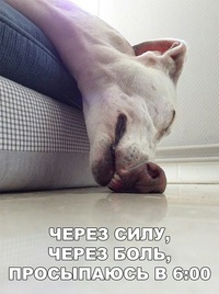 Владимир Парфенов