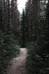 Николай Козлов