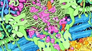 David Goodsell’s paintings reveal the incredible beauty of the living cell
