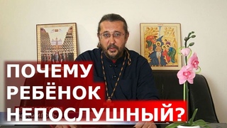 Почему ребёнок непослушный? Священник Игорь Сильченков