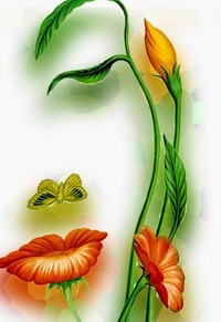 Елена Носова