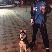 Расим Алиев | Москва