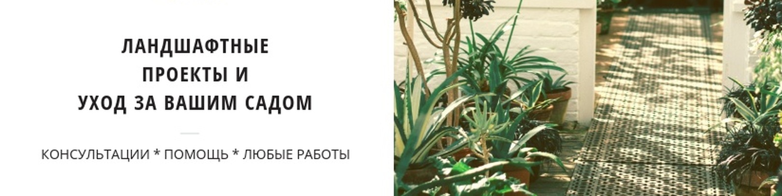 Садовник Мюллер (ландшафт, уход за садом в Сочи) | Опытный садовник и ...