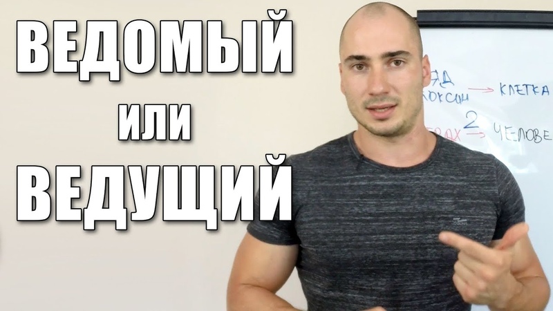 Ты Ведомый или