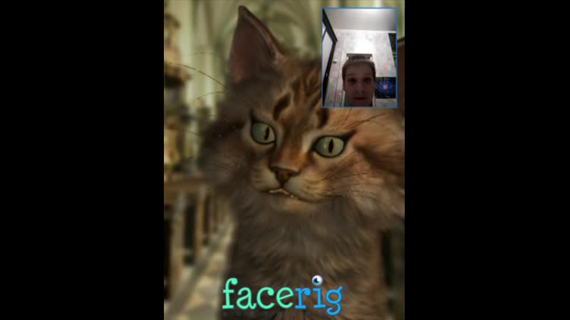 FaceRig_2019-03-22-22-57-52.mp4