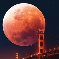 Дмитрий Владимиров