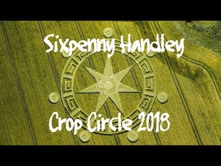 Crop Circle Ackling Dyke Sixpenny Handley - Dorset - 4/6/2018