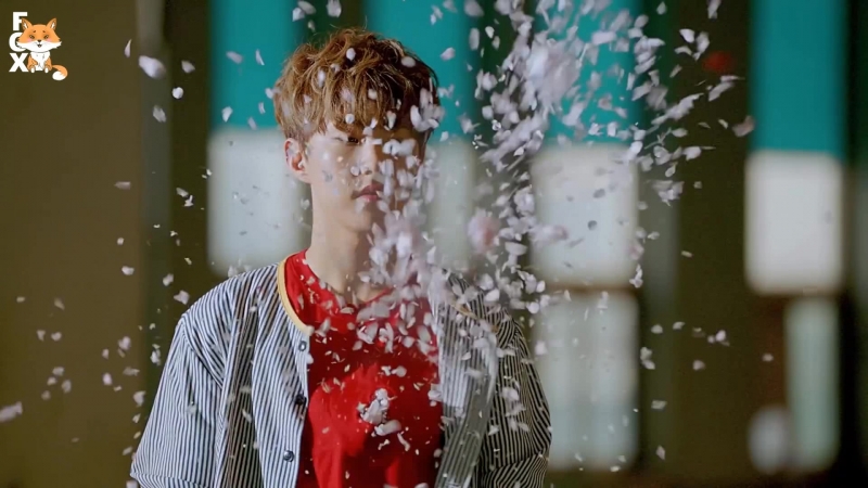 FSG FOX Seventeen Very
