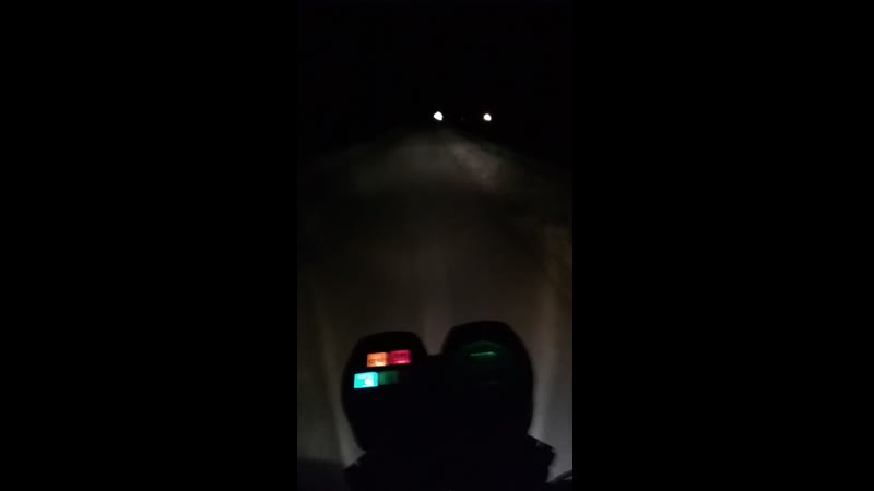 Izh police