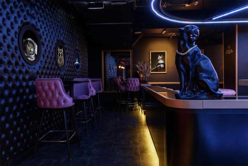 Дизайн интерьера CAT Bar & Dance Club