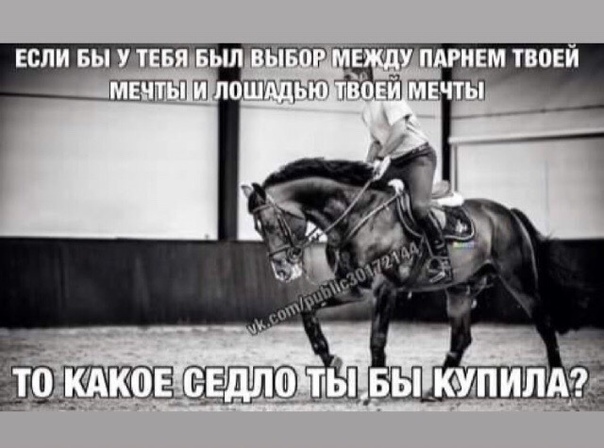 васильева стихи про конный спорт до слез керамика