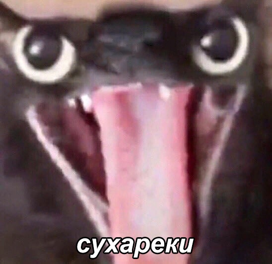 Андрей Печеренко