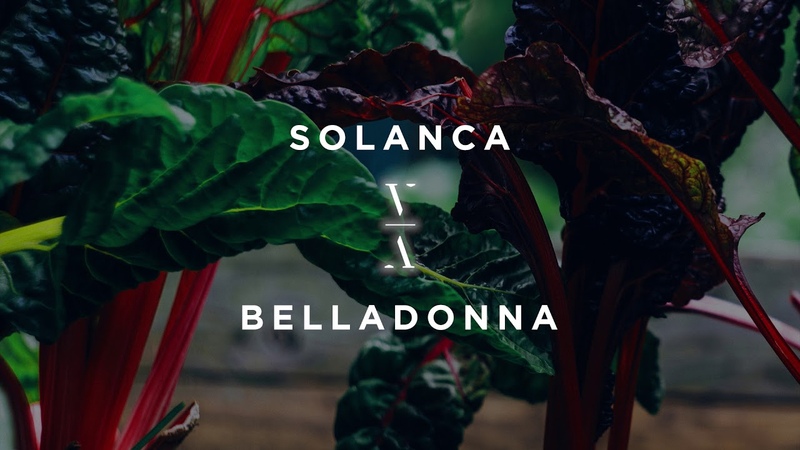 Solanca