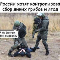 Роман Серов | Курган