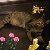 Анна Ивановна