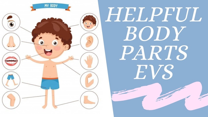 EVS Class 1, Helpful Body Parts