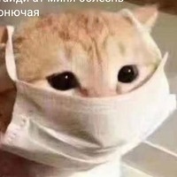 Иван Черняев | 