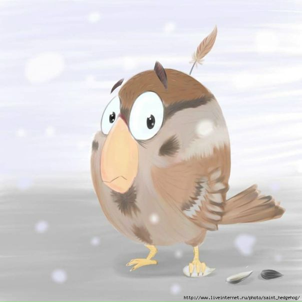 №52, Юлия Нестеренко, Барнаул №52, Юлия Нестеренко, Барнаул