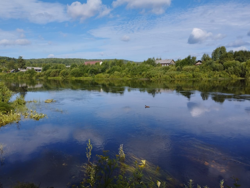 Надежда Родионова | ВКонтакте